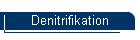 Denitrifikation